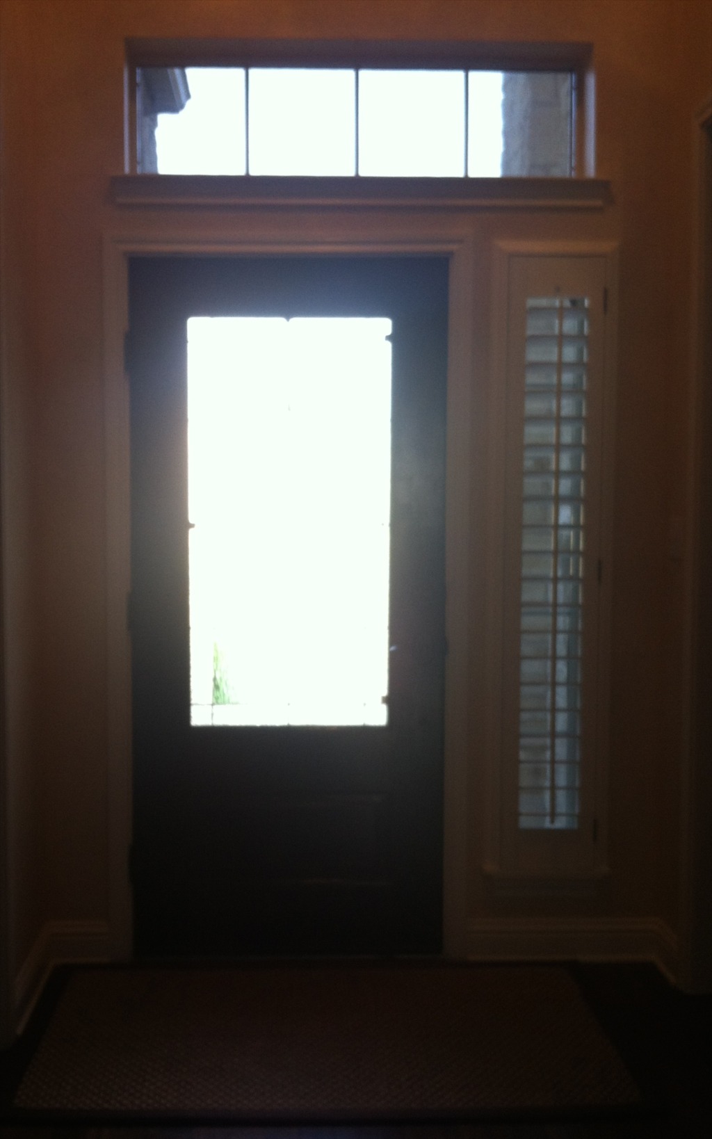 2014/2014-05 New Iron Front Door/1024x768_2014-04-29 OLD DOOR.jpg
